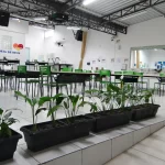 Escola particular próxima