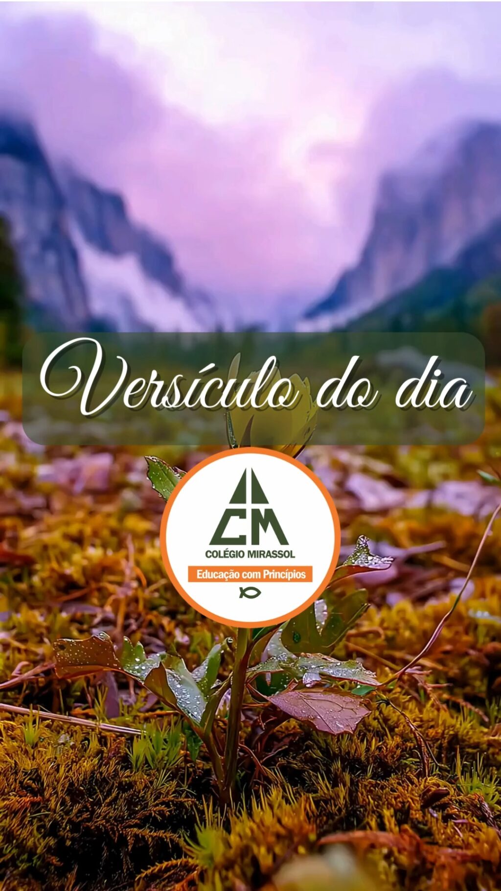 Instagram post from mirassolcolegio. This post is in position 9.