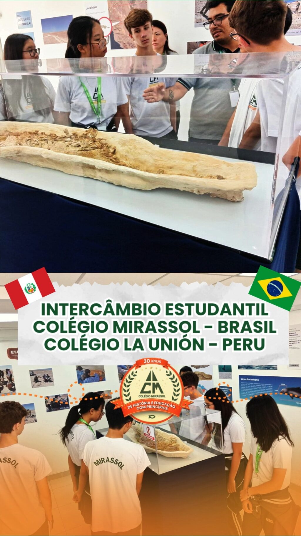 Instagram post from mirassolcolegio. This post is in position 3.