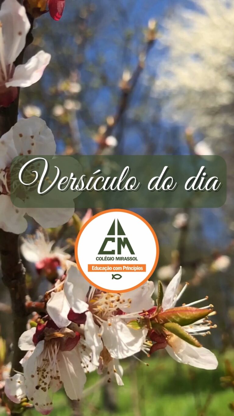 Instagram post from mirassolcolegio. This post is in position 4.